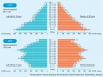 piramida populasi