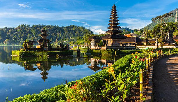 Panduan Sewa Mobil di Bali
