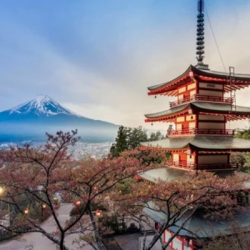 Tips Hemat Uang dan Kenyamanan saat Berlibur di Jepang