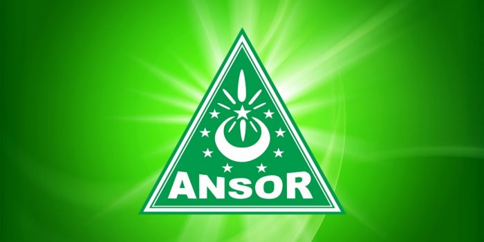logo ansor