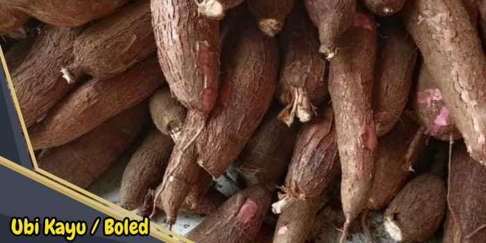 Ubi kayu atau boled